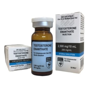 Test E 250 Hilma Biocare